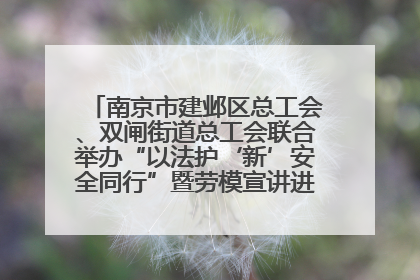 南京市建邺区总工会、双闸街道总工会联合举办“以法护‘新’安全同行”暨劳模宣讲进工地服务活动