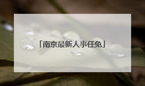 南京最新人事任免