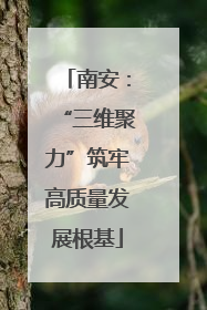 南安：“三维聚力”筑牢高质量发展根基