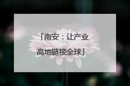 南安：让产业高地链接全球