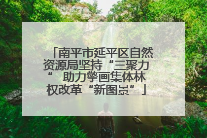 南平市延平区自然资源局坚持“三聚力” 助力擎画集体林权改革“新图景”