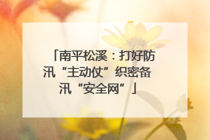 南平松溪：打好防汛“主动仗”织密备汛“安全网”