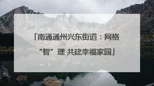 南通通州兴东街道：网格“智”理 共建幸福家园