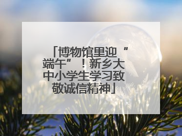 博物馆里迎“端午”！新乡大中小学生学习致敬诚信精神