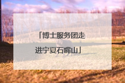 博士服务团走进宁夏石嘴山