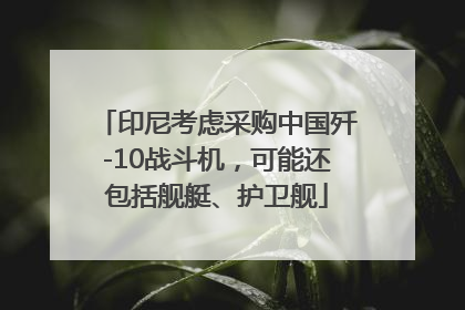 印尼考虑采购中国歼-10战斗机，可能还包括舰艇、护卫舰
