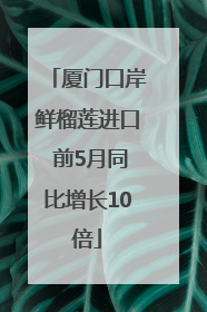厦门口岸鲜榴莲进口 前5月同比增长10倍