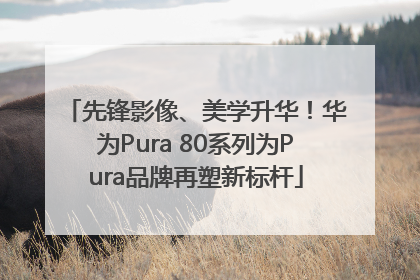 先锋影像、美学升华！华为Pura 80系列为Pura品牌再塑新标杆