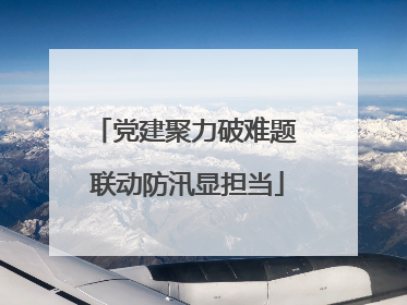 党建聚力破难题 联动防汛显担当