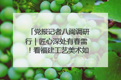 党报记者八闽调研行｜匠心深处有春雷！看福建工艺美术如何创新表达