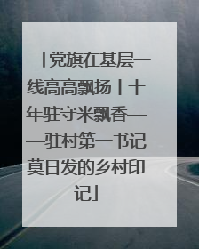 党旗在基层一线高高飘扬丨十年驻守米飘香——驻村第一书记莫日发的乡村印记