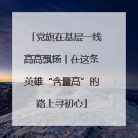 党旗在基层一线高高飘扬丨在这条英雄“含量高”的路上寻初心