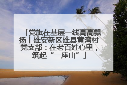 党旗在基层一线高高飘扬丨雄安新区雄县黄湾村党支部：在老百姓心里，筑起“一座山”