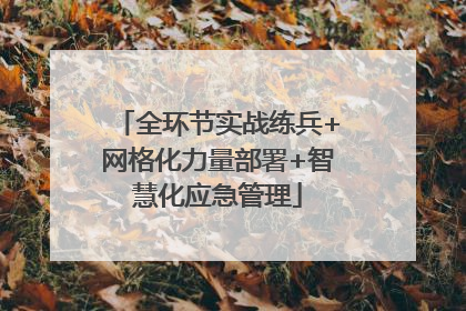 全环节实战练兵+网格化力量部署+智慧化应急管理