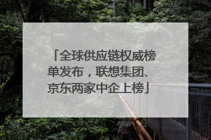 全球供应链权威榜单发布，联想集团、京东两家中企上榜
