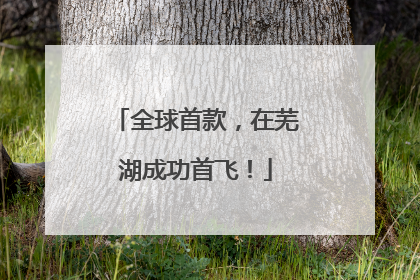 全球首款，在芜湖成功首飞！