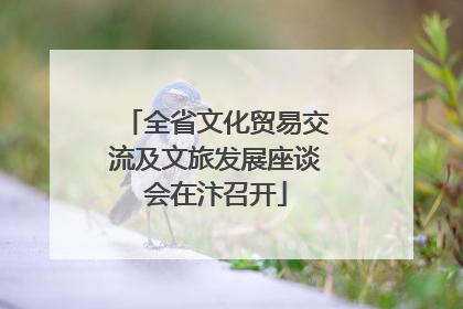 全省文化贸易交流及文旅发展座谈会在汴召开