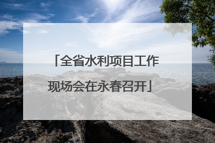 全省水利项目工作现场会在永春召开