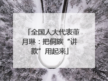 全国人大代表董月琳：把侗族“讲款”用起来