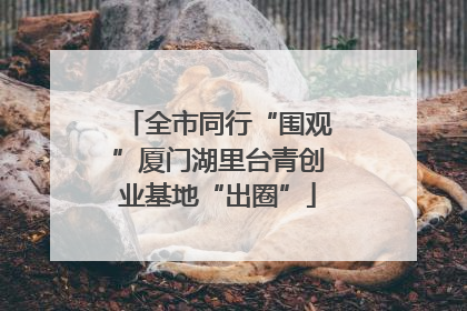 全市同行“围观”厦门湖里台青创业基地“出圈”