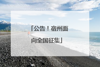 公告！宿州面向全国征集