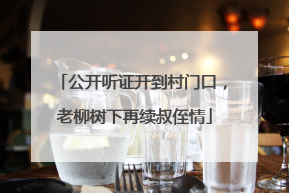 公开听证开到村门口，老柳树下再续叔侄情