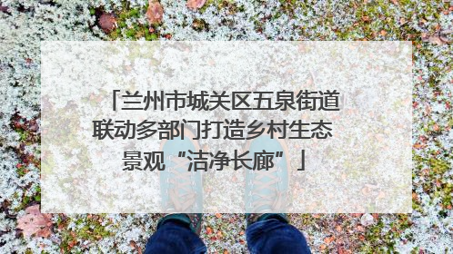 兰州市城关区五泉街道联动多部门打造乡村生态景观“洁净长廊”