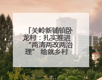 关岭新铺镇卧龙村：扎实推进“两清两改两治理” 绘就乡村宜居新图景