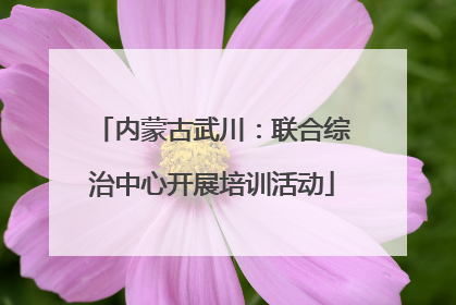 内蒙古武川：联合综治中心开展培训活动