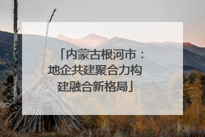 内蒙古根河市：地企共建聚合力构建融合新格局