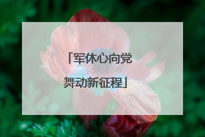 军休心向党 舞动新征程
