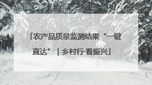 农产品质量监测结果“一键直达”｜乡村行·看振兴