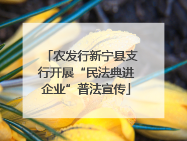 农发行新宁县支行开展“民法典进企业”普法宣传