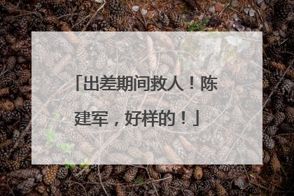 出差期间救人！陈建军，好样的！
