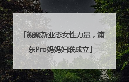 凝聚新业态女性力量，浦东Pro妈妈妇联成立