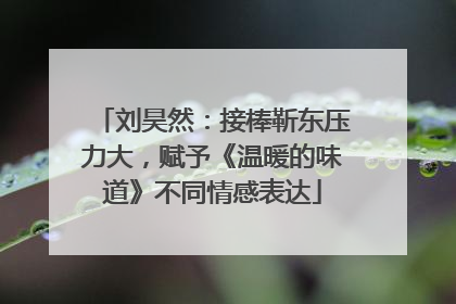 刘昊然：接棒靳东压力大，赋予《温暖的味道》不同情感表达