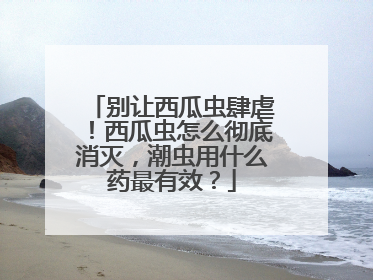 别让西瓜虫肆虐！西瓜虫怎么彻底消灭，潮虫用什么药最有效？