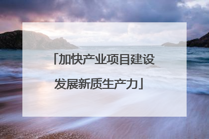 加快产业项目建设 发展新质生产力
