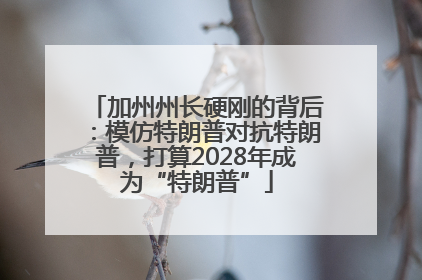 加州州长硬刚的背后：模仿特朗普对抗特朗普，打算2028年成为“特朗普”