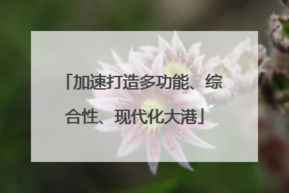加速打造多功能、综合性、现代化大港