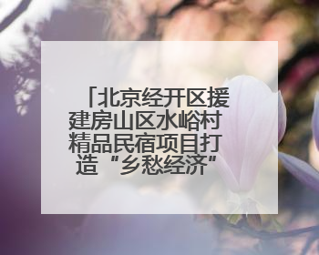 北京经开区援建房山区水峪村精品民宿项目打造“乡愁经济”新标杆