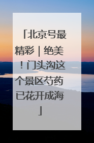 北京号最精彩｜绝美！门头沟这个景区芍药已花开成海