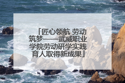 匠心领航 劳动筑梦——武威职业学院劳动研学实践育人取得新成果