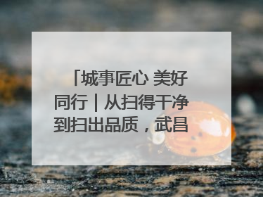城事匠心 美好同行｜从扫得干净到扫出品质，武昌临江大道“洗”出洁净样板路