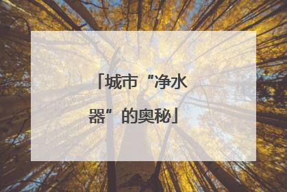 城市“净水器”的奥秘
