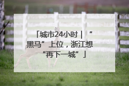 城市24小时｜“黑马”上位，浙江想“再下一城”