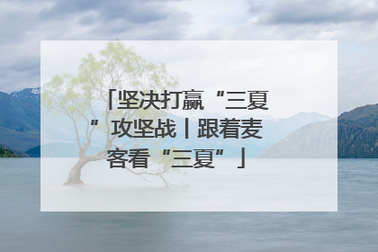 坚决打赢“三夏”攻坚战丨跟着麦客看“三夏”