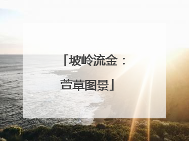 坡岭流金：萱草图景