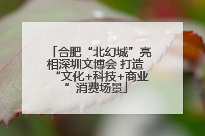 合肥“北幻城”亮相深圳文博会 打造“文化+科技+商业”消费场景