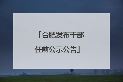 合肥发布干部任前公示公告